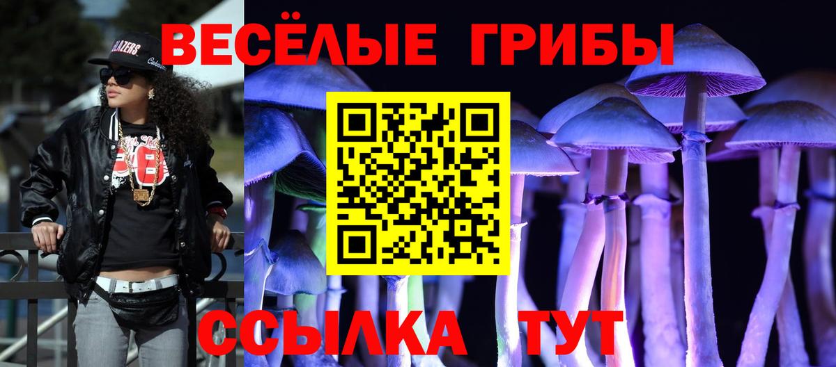 Псилоцибиновые грибы Psilocybe Троицк